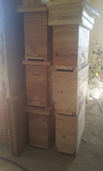 rsz_20150309_111200.jpg
