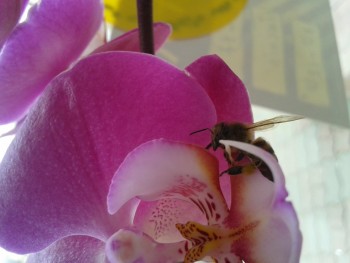 rsz_20150313_145432.jpg