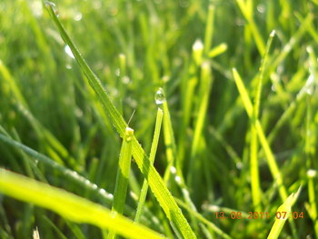 rsz_1dscn1542.jpg