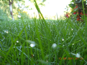 rsz_1dscn1544.jpg