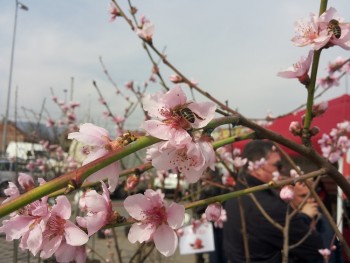 20150322_115957.jpg