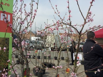 20150322_115951.jpg