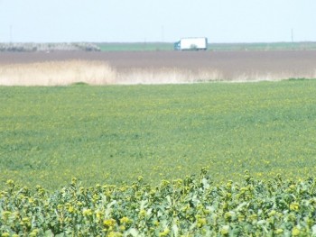 DSCF8863.JPG