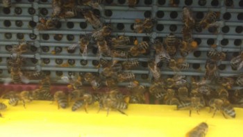 rsz_20150415_133623_93728.jpg