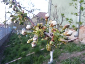20150411_195823.jpg