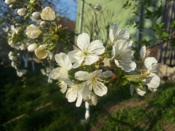 20150413_184546.jpg