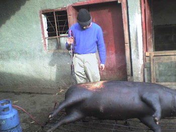 indagra 053.jpg