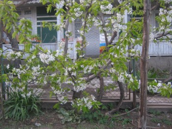 IMG_0349.JPG