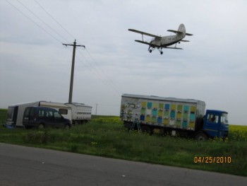 avion2010.jpg