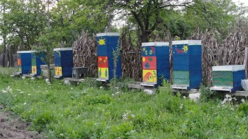6 mai 2015.jpg