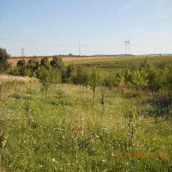 rsz_dscn1596.jpg