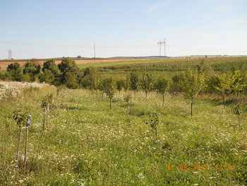 rsz_dscn1597.jpg