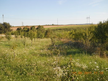 rsz_dscn1598.jpg