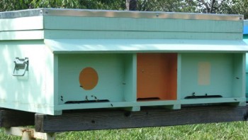 IMG_5168.jpg