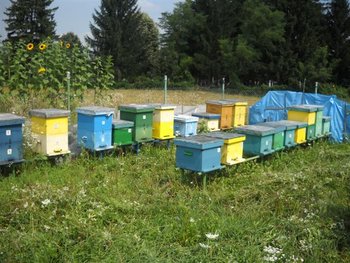 DSCN2296 (Small).jpg