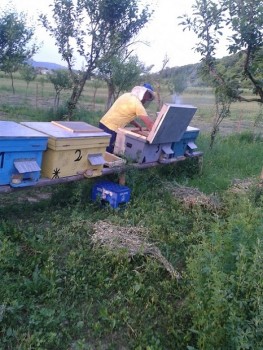 2015-05-20 19.46.25.jpg
