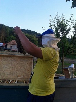 2015-05-20 19.52.28.jpg