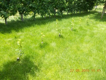 rsz_picture_010.jpg