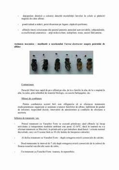 bolile_albinelor_16_pag-012.jpg
