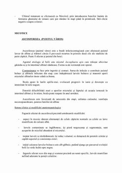 bolile_albinelor_16_pag-013.jpg