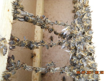 DSCN1030.JPG
