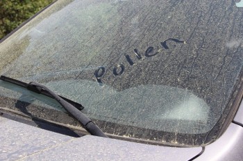 JPA_UGA_POLLEN_t670.jpg