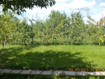 rsz_1picture_011.jpg