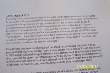 foto1,1.jpg