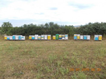 rsz_picture_007.jpg