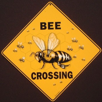 $T2eC16N,!ysE9sy0hY3kBQUS-+8oPQ--60_59.jpg