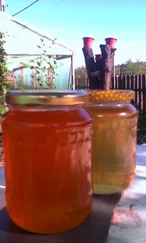 IMG_20150807_172155.jpg