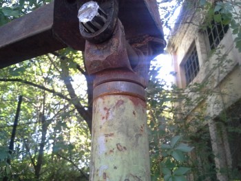 20150826_105258 mic.jpg