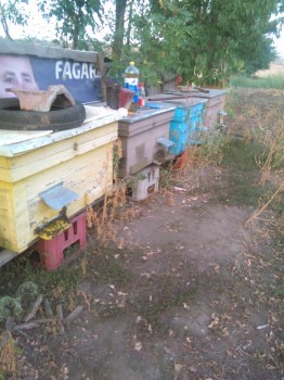 Poza orizontali 1.jpg