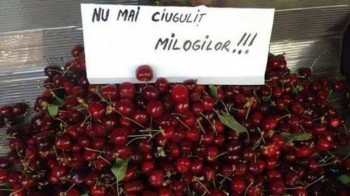 cele-mai-comice-afise-din-magazine3_85762500.jpg