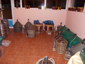 b 010.JPG
