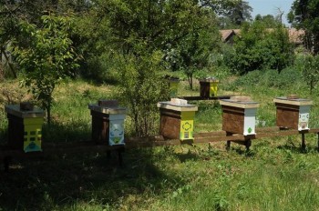 8-9. 06 2015 Sirioara 004 (Small).JPG