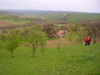 P4280304 (Small).JPG