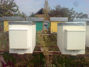 DSC09226.JPG