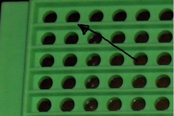 placa activa colector polen.jpg