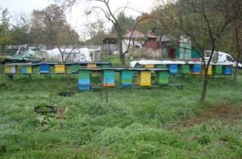 Pregătiți de iarnă! (Medium) (Small).JPG