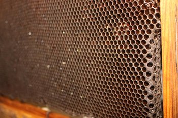 IMG_0760mic.jpg