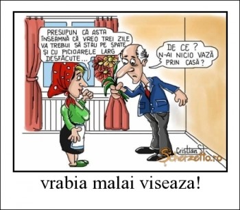 1526_vrabia-malai-viseaza_scherzetto.jpg