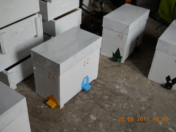 rsz_dscn1724.jpg
