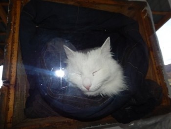 DSCN5710.JPG