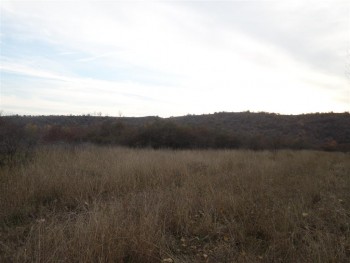lunca_faneata (Medium).JPG