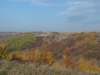 toamna_pe_deal (Medium).JPG