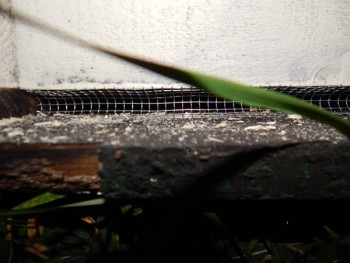 DSCN5719.JPG