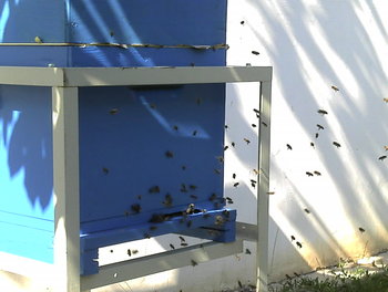 2011-08-27_16-10-41_570.jpg