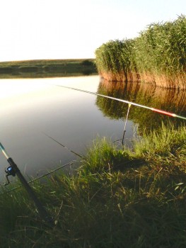 IMG00098.jpg