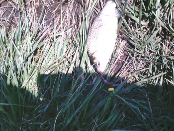IMG00134.jpg